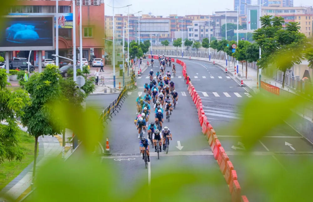 五月摄协活动精彩纷呈(图12)