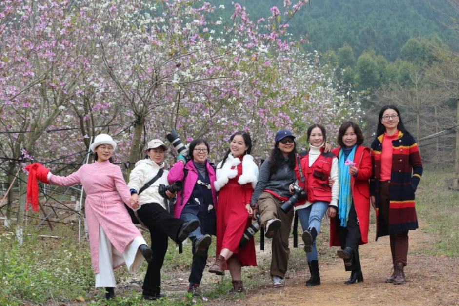 人间三月芳菲艳 赏花采风行正其时(图1)