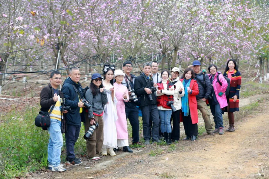 人间三月芳菲艳 赏花采风行正其时(图2)
