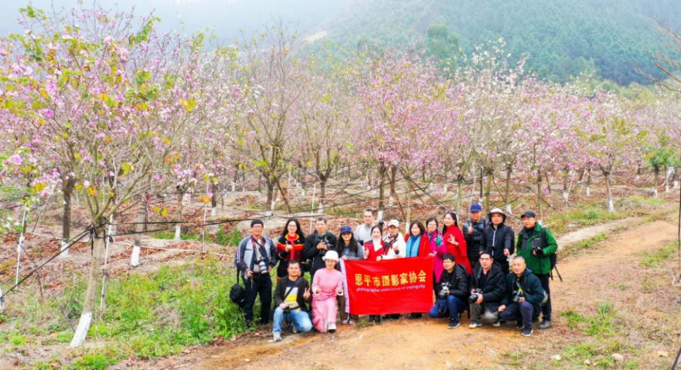 人间三月芳菲艳 赏花采风行正其时(图3)