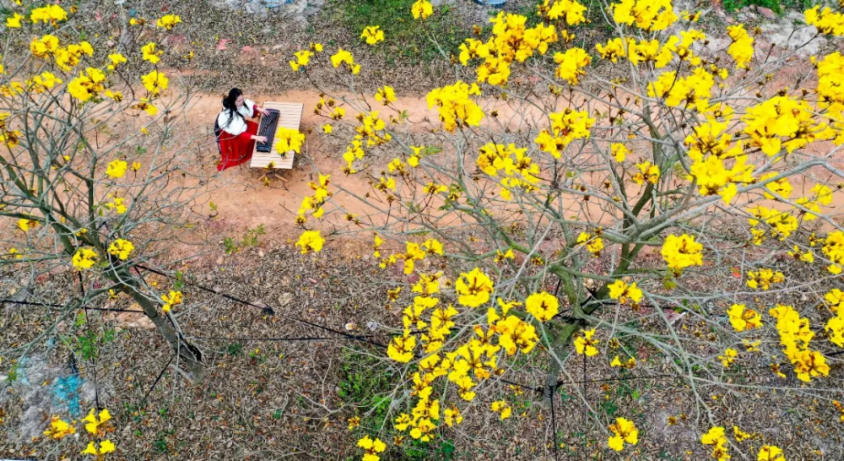 人间三月芳菲艳 赏花采风行正其时(图6)