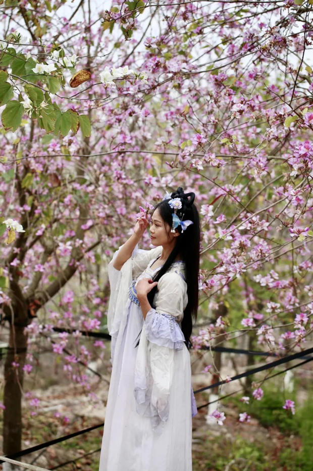 人间三月芳菲艳 赏花采风行正其时(图8)