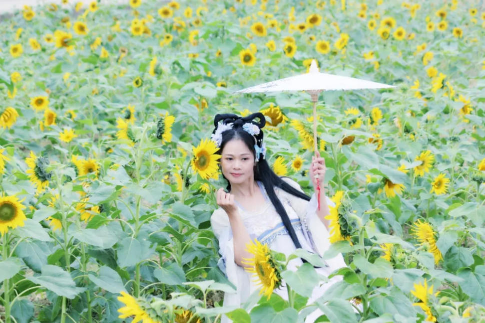 人间三月芳菲艳 赏花采风行正其时(图14)