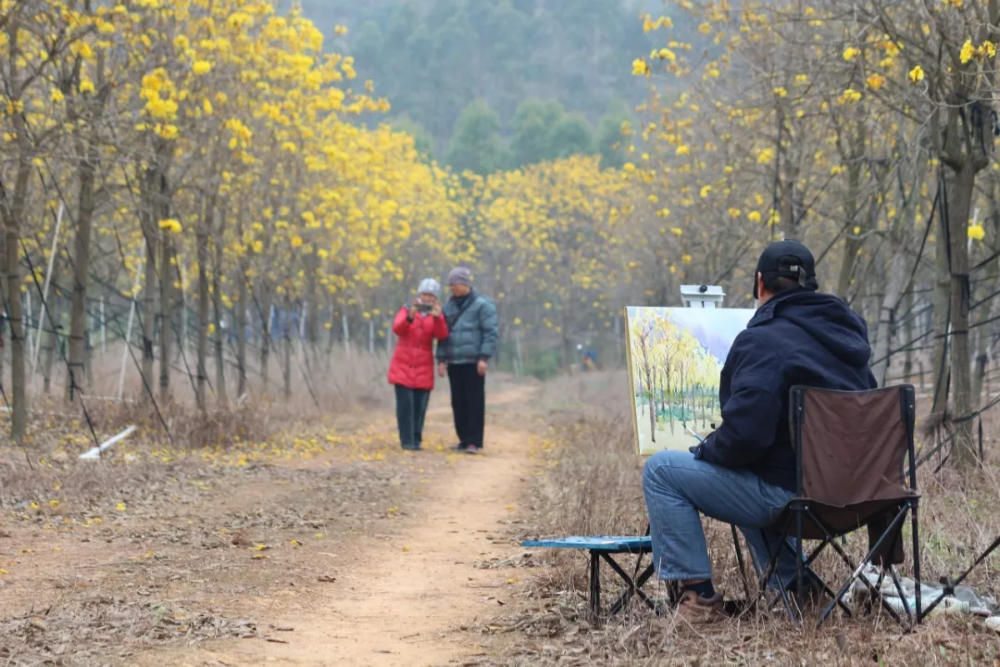 人间三月芳菲艳 赏花采风行正其时(图17)