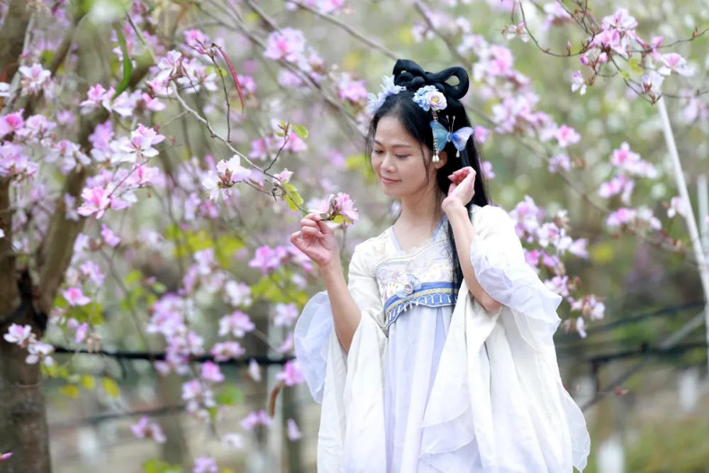 人间三月芳菲艳 赏花采风行正其时(图19)