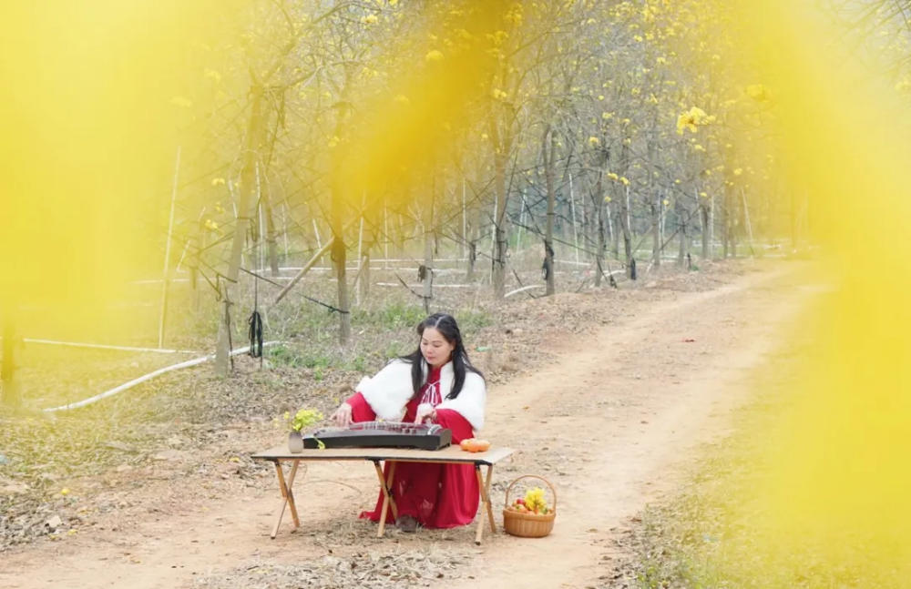 人间三月芳菲艳 赏花采风行正其时(图24)