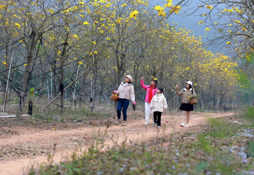 人间三月芳菲艳 赏花采风行正其时(图20)