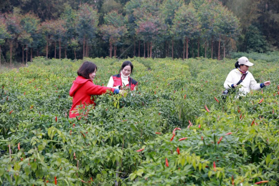 人间三月芳菲艳 赏花采风行正其时(图22)