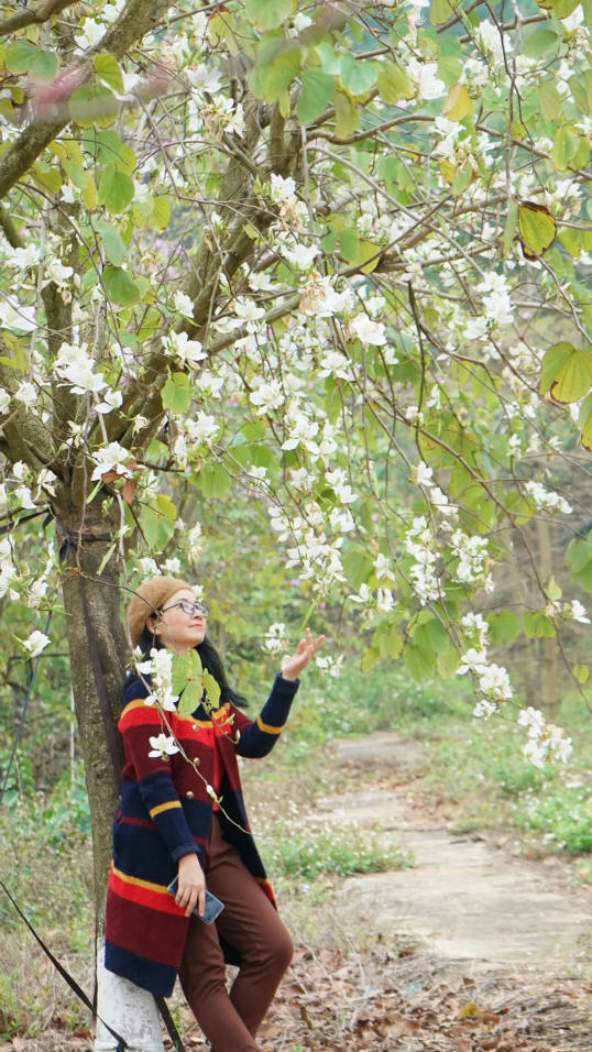 人间三月芳菲艳 赏花采风行正其时(图26)