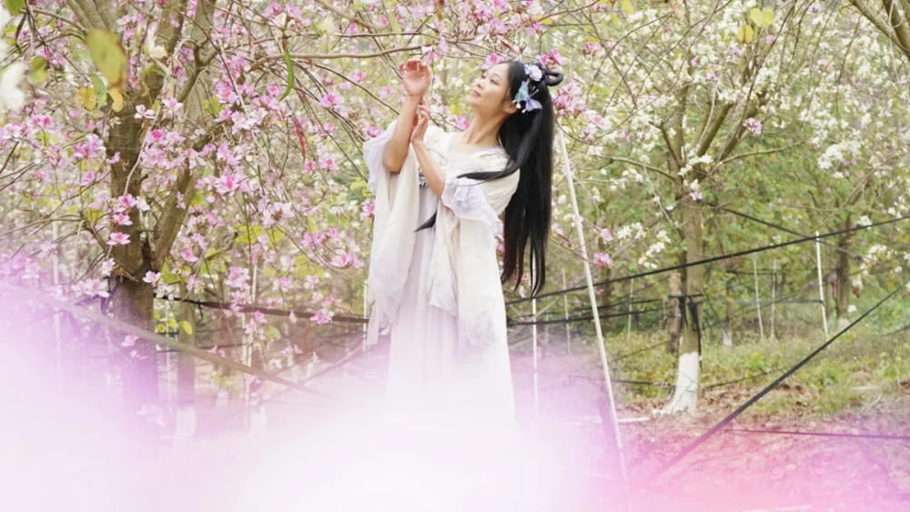 人间三月芳菲艳 赏花采风行正其时(图25)