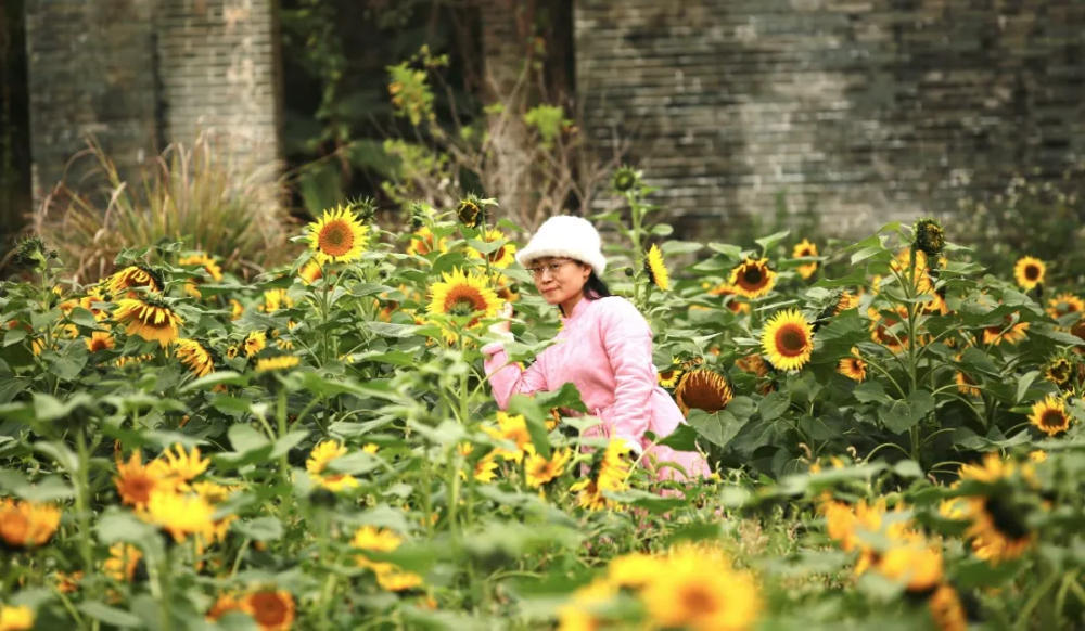 人间三月芳菲艳 赏花采风行正其时(图27)