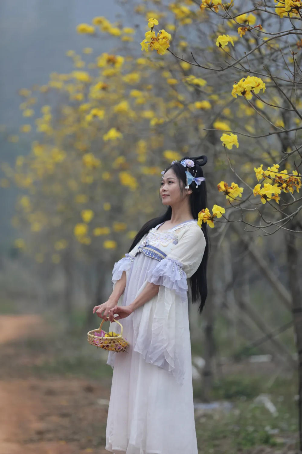 人间三月芳菲艳 赏花采风行正其时(图39)
