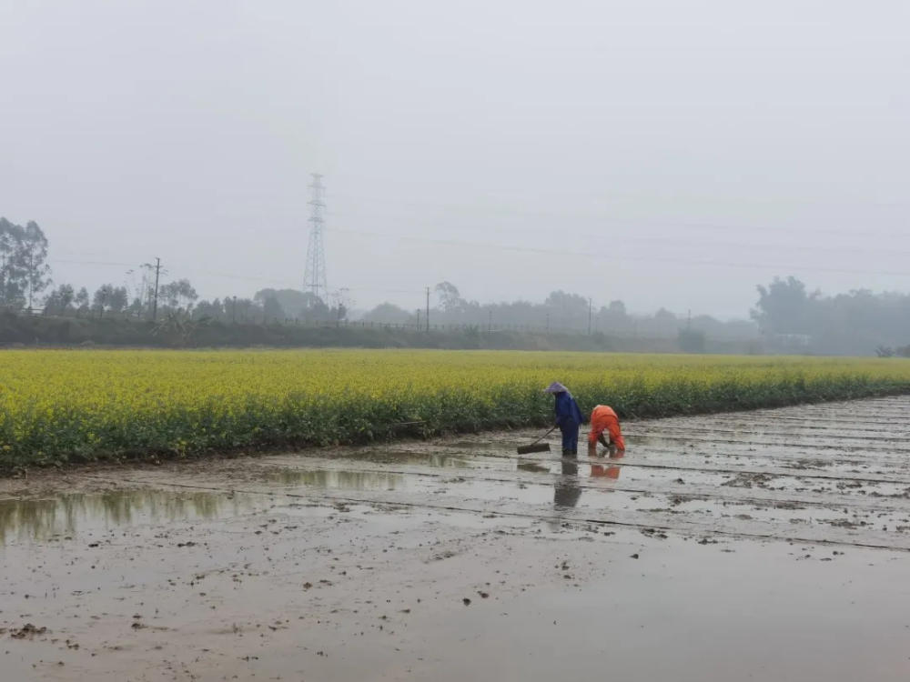 人间三月芳菲艳 赏花采风行正其时(图40)