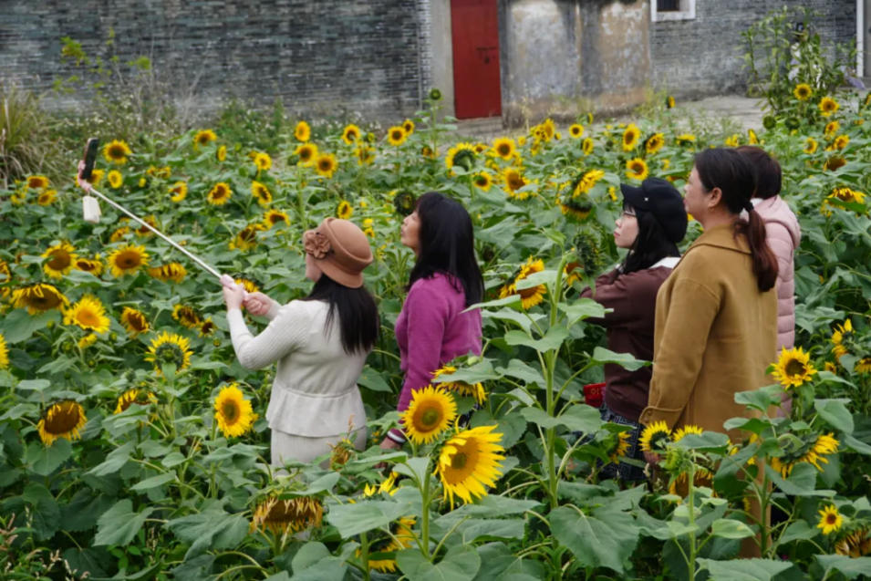 人间三月芳菲艳 赏花采风行正其时(图36)