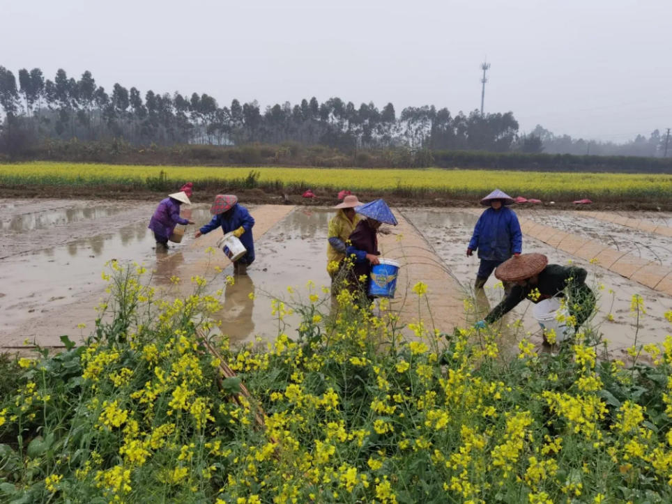 人间三月芳菲艳 赏花采风行正其时(图41)