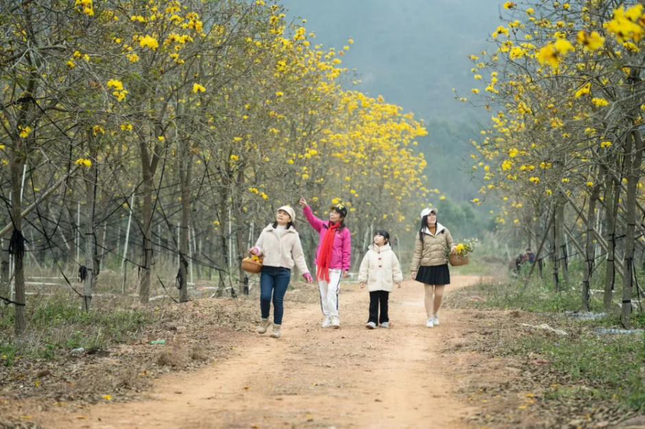 人间三月芳菲艳 赏花采风行正其时(图43)