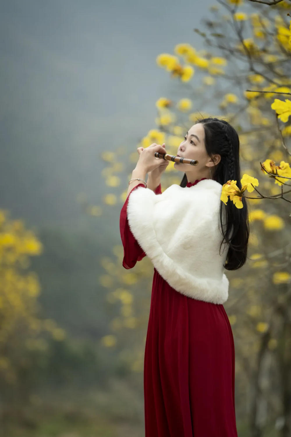 人间三月芳菲艳 赏花采风行正其时(图44)