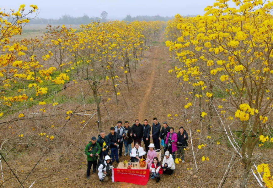 人间三月芳菲艳 赏花采风行正其时(图45)